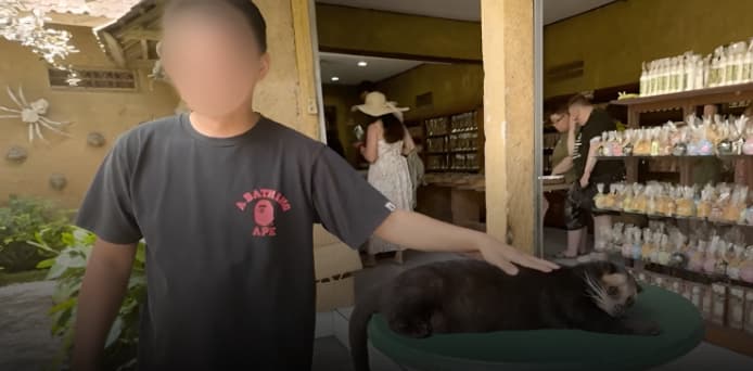 Animals exploited at Kopi Luwak facility, Bali